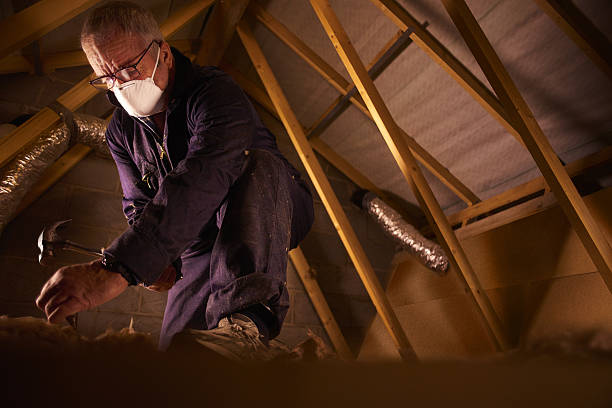 Best Fiberglass Insulation in Westwego, LA